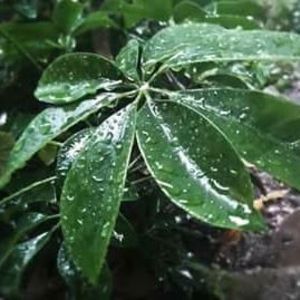 Meet your Posher, Mar